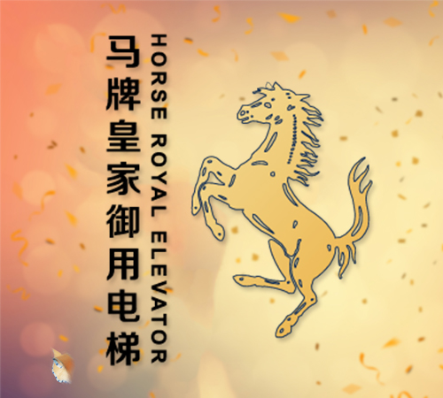 電梯安裝：無(wú)底坑電梯解決別墅安裝家用電梯難題